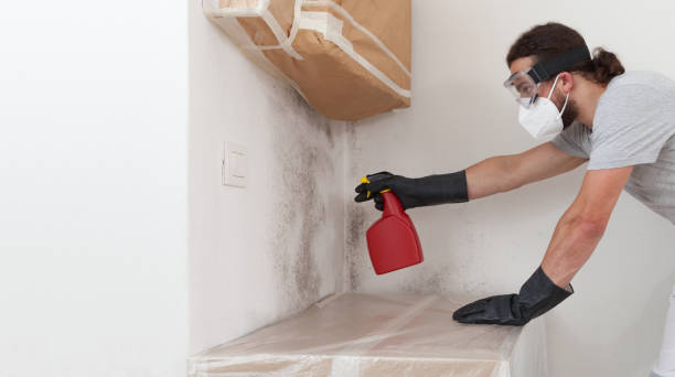 Professional Mold Removal technician working in Washington, NJ