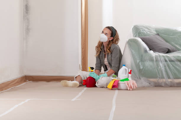 Reliable Mold Removal contractor in Washington, NJ by 24 Hour Mold Removal